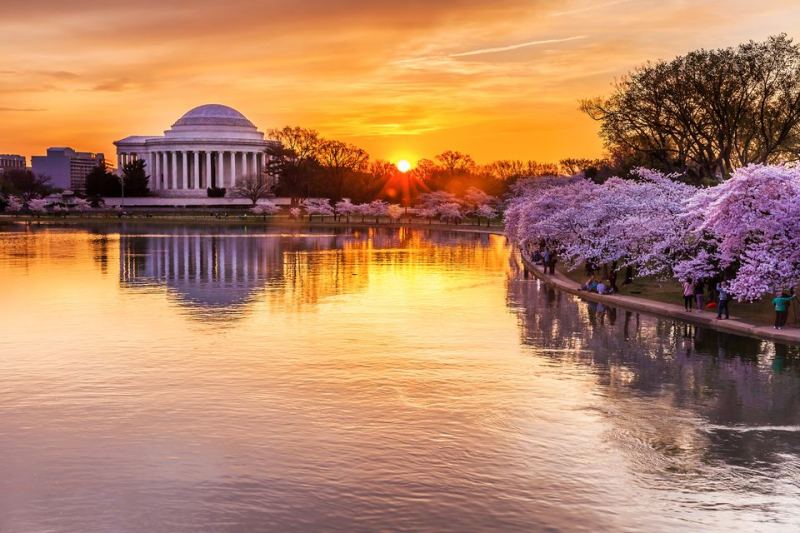 Tour de New York a Washington